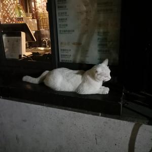 97国产在线视频公开免费
